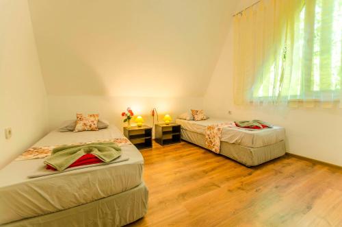 Hotel Viktoria Complex