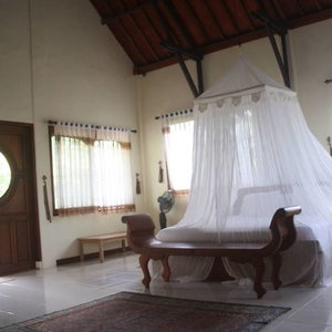 Hotel Hibiscus House cazare Singaraja