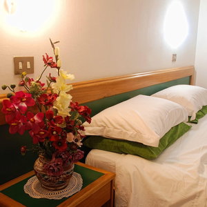 Hotel Hotel Neptunus cazare Nettuno