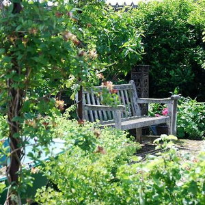 Hotel B&B Bed In Waterland cazare Broek in Waterland