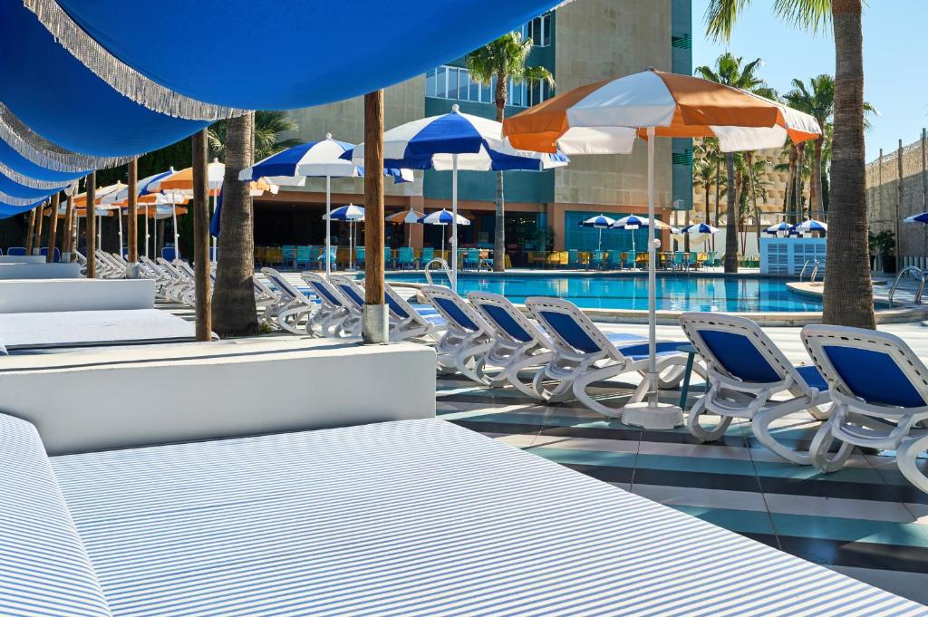Tent Mojito Suites