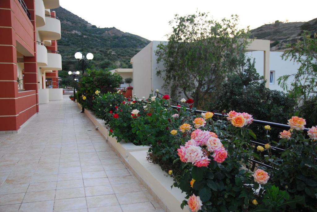 Elpis Studios & Apartments