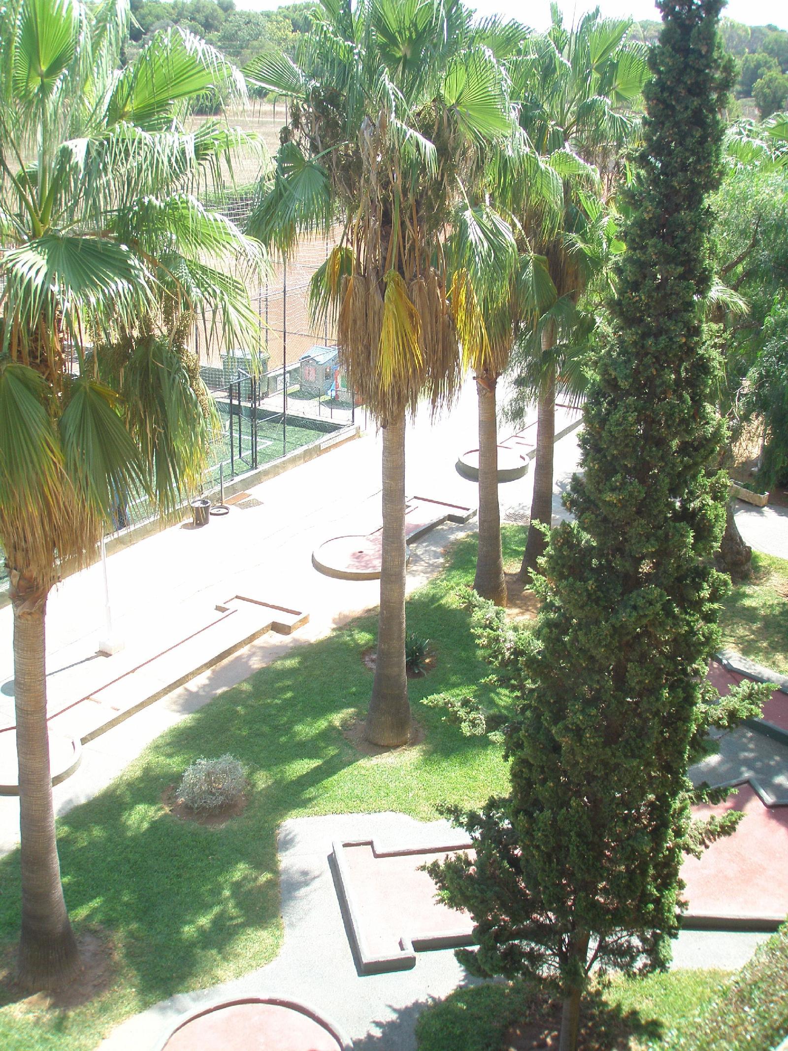 Don Miguel Playa