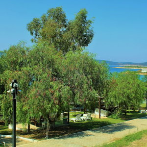Hotel Akkum Beach Otel cazare Seferihisar