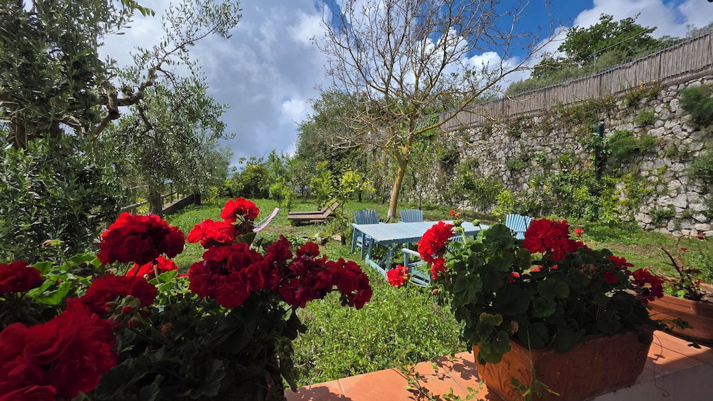 Hotel Fattoria Terranova