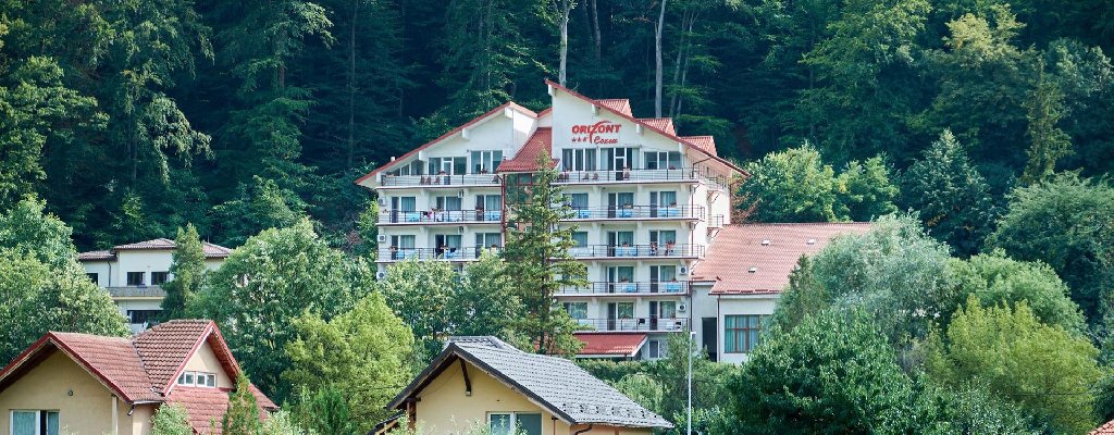 Hotel Orizont Cozia Hotel