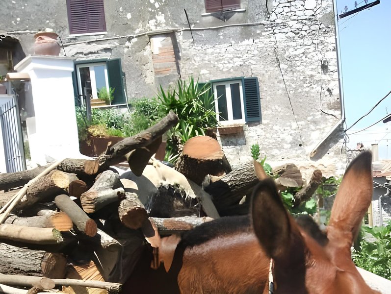 Hotel B&B Dell'artista