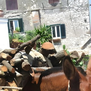 Hotel B&B Dell'artista cazare Artena