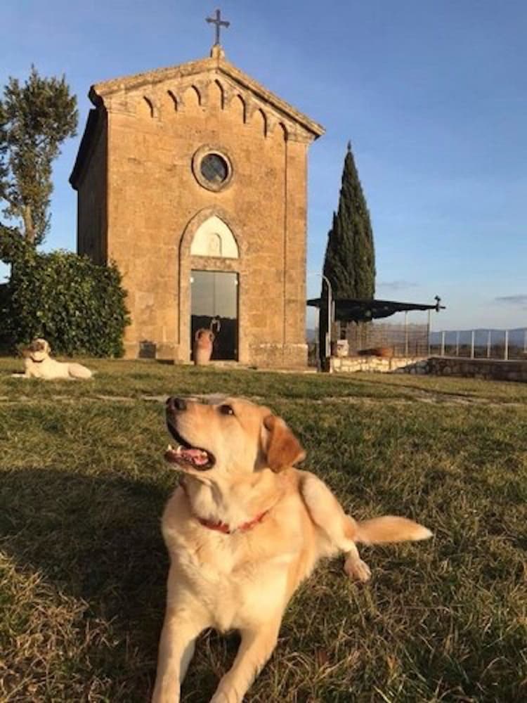 Tenuta Decimo