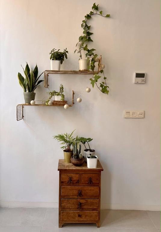 Hotel Beautiful House In Cartagena's Historic Center