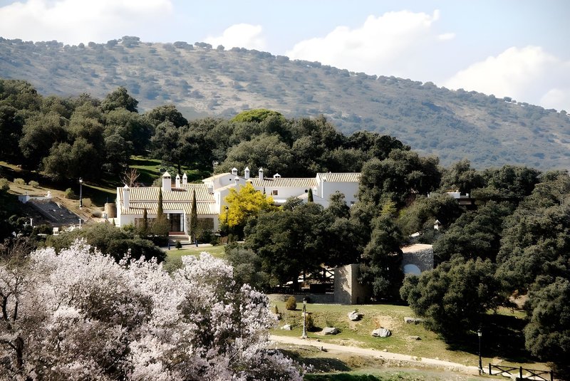 Hotel Los Pilares De Ronda