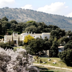 Hotel Los Pilares De Ronda cazare Ronda