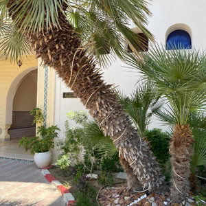 Hotel Hôtel Résidence El Fatimi cazare Mahdia
