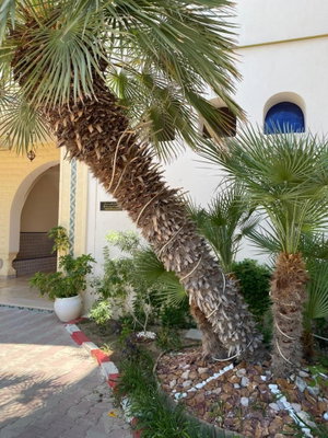 Hotel Hôtel Résidence El Fatimi cazare Mahdia
