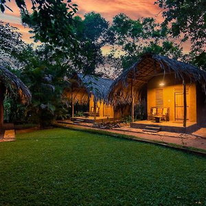 Hotel Private Organic House cazare Udawalawa