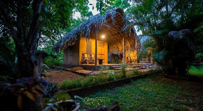 Private Organic House