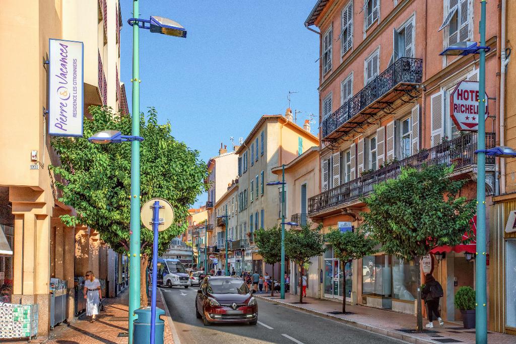 Hotel Les Citronniers