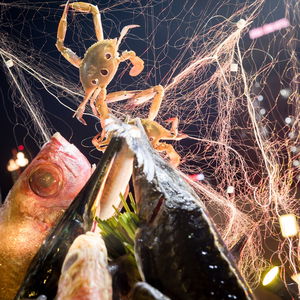 Hotel Royal Lotus Hotel Danang cazare Da Nang