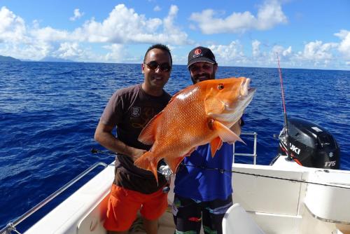 Hotel La Belle Tortue