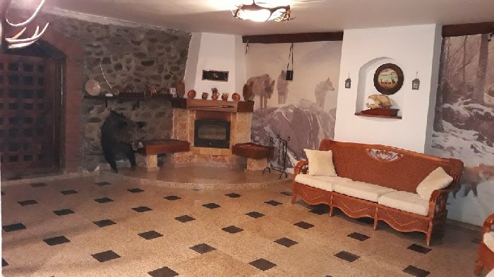 Hanul Vanatorului Pensiune Turistica