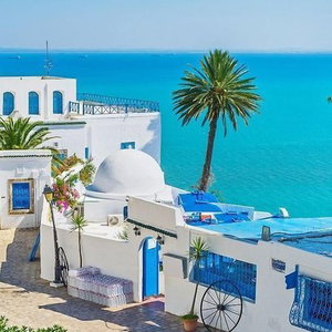 Hotel La Tour Blanche cazare Gammarth