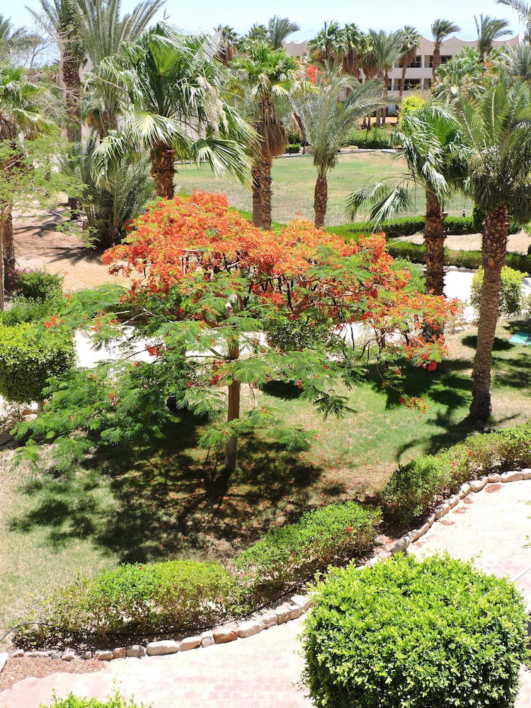 Time Coral Resort Nuweiba