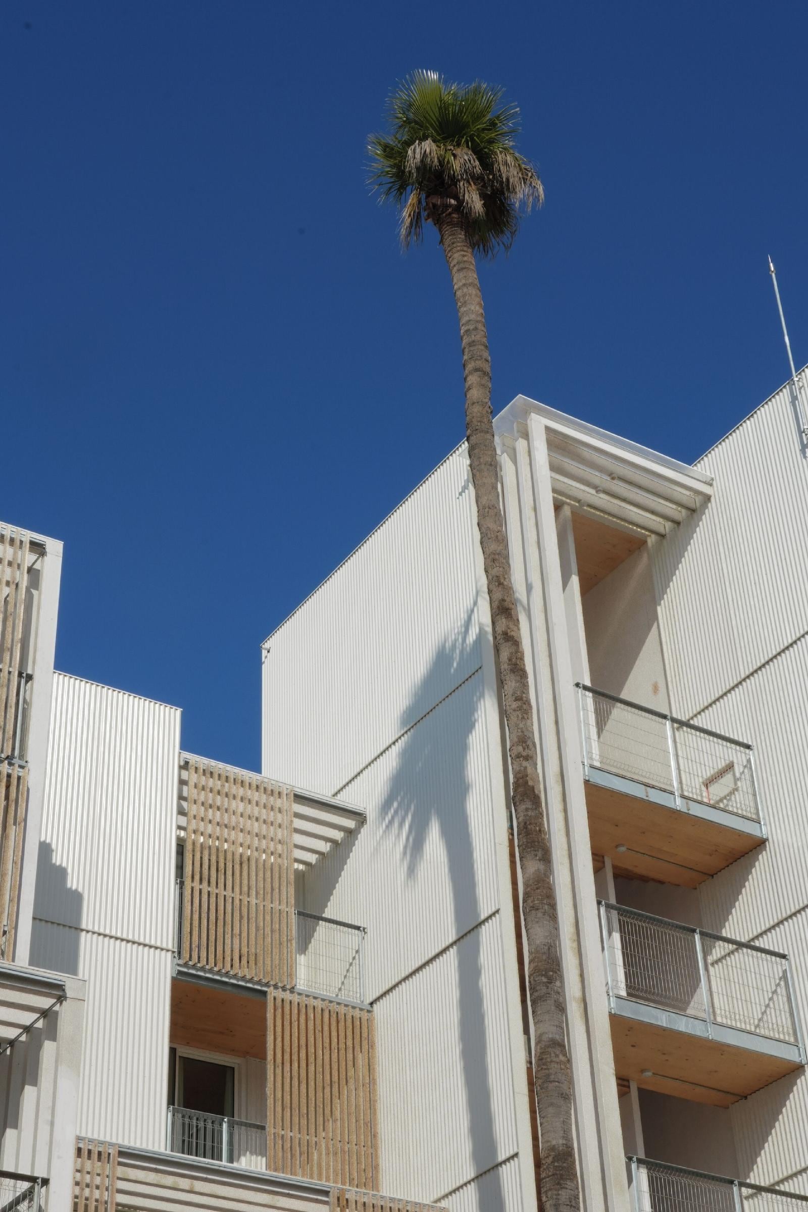 Hotel Kora Olea