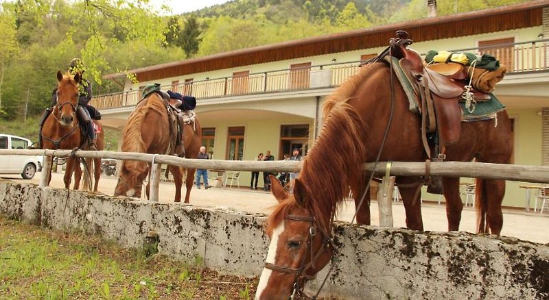 Hotel Damarco Alloggio Turistico Locanda