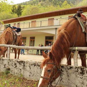 Hotel Damarco Alloggio Turistico Locanda cazare Schio