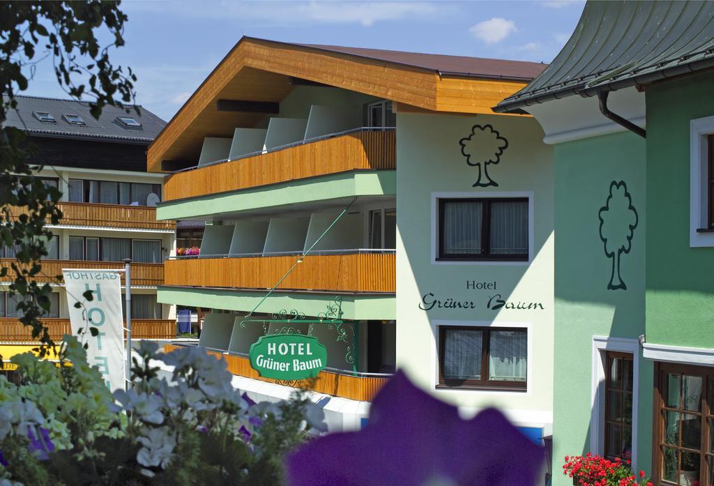 Hotel Hotel Grüner Baum
