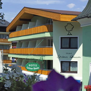 Hotel Hotel Grüner Baum cazare Zell am See