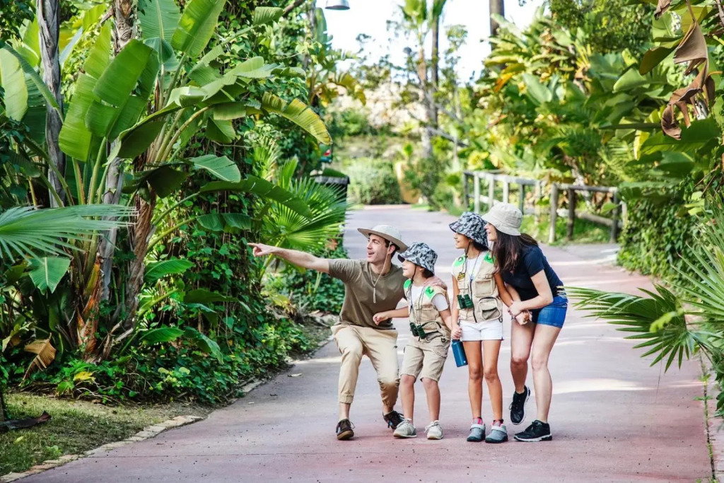 Hotel Hotel Selwo Lodge - Animal Park Tickets Included