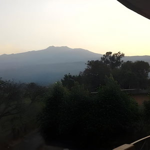 Hotel Park Hotel Oasi cazare Mascali