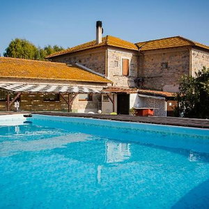Hotel B&B Villa Naumanni cazare Tarquinia