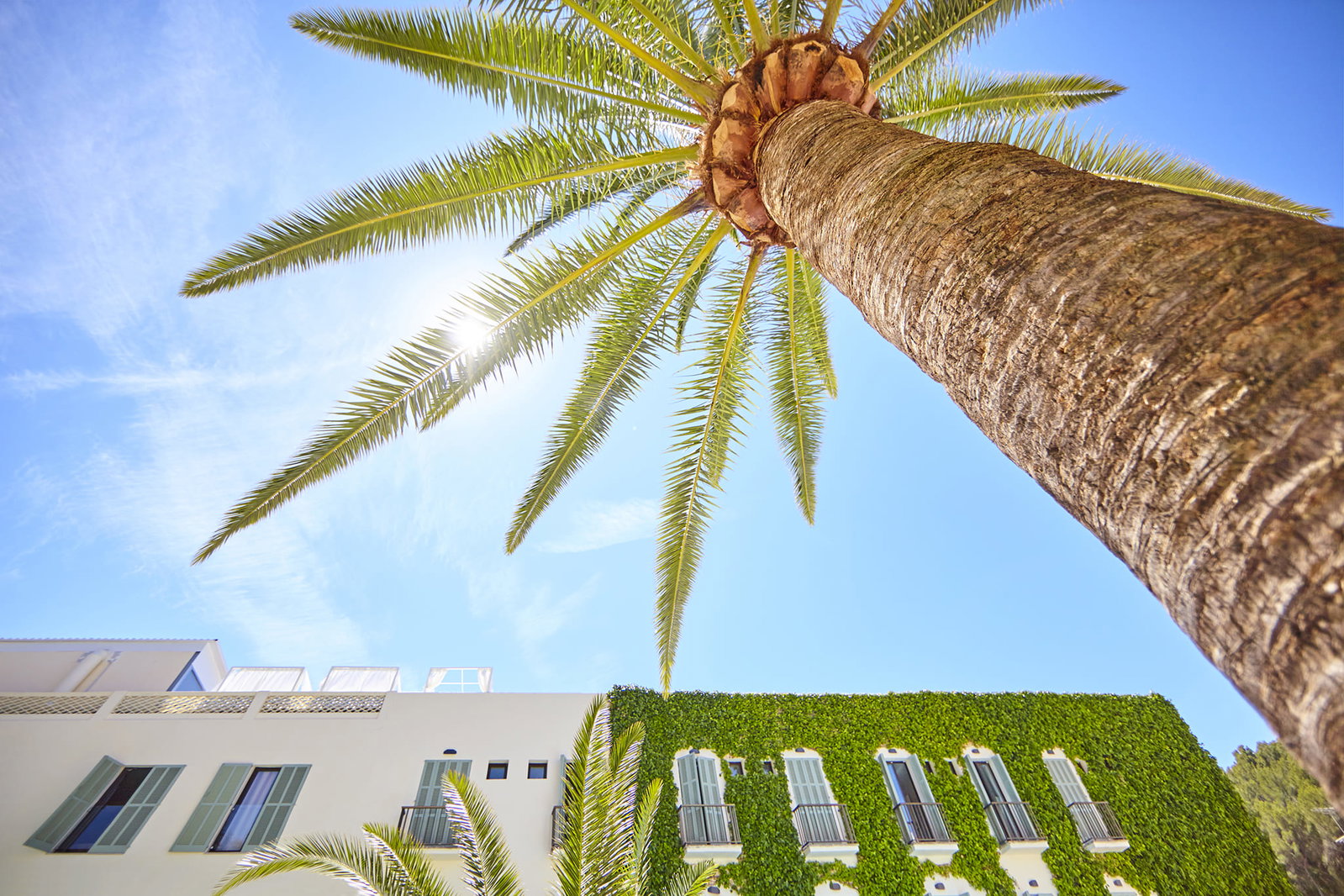dal travel Cupido Boutique