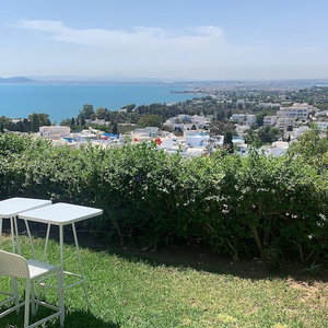 Hotel La Villa Des Oliviers cazare Sidi Bou Said