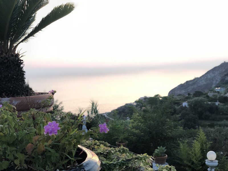 Hotel Villa Neptunus