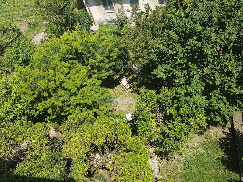 Hotel B&B Il Giardino Di Vico Neve