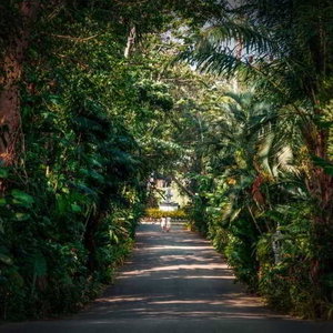 Sejur Thavorn Palm Beach vacanta Phuket (regiunea)