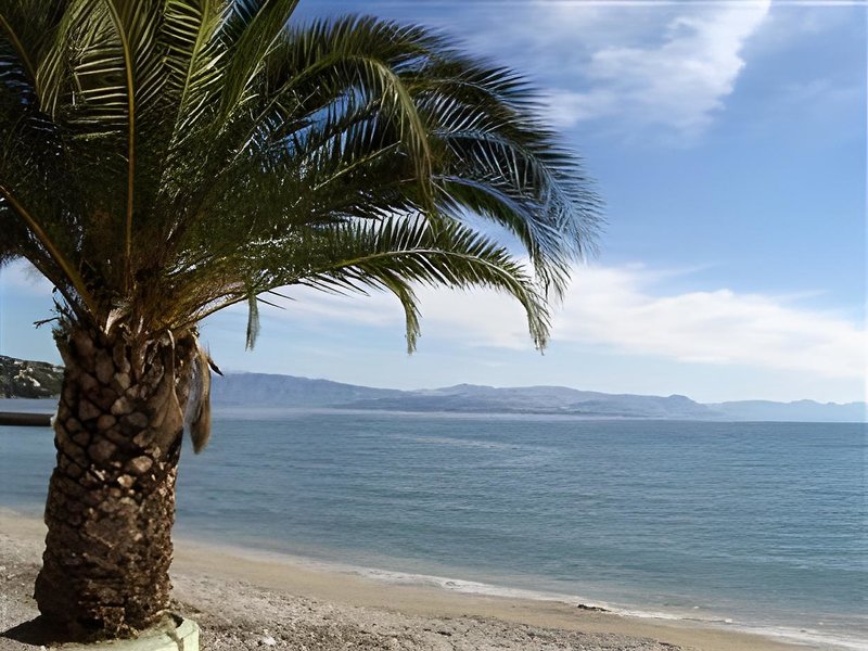 Hotel Gorgona Apartments & Studios
