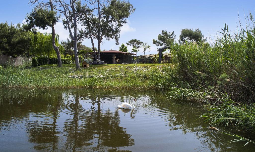 Hotel Hilton Dalaman Sarigerme Resort & Spa