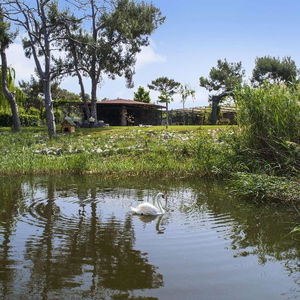 Hotel Hilton Dalaman Sarigerme Resort & Spa cazare Sarigerme