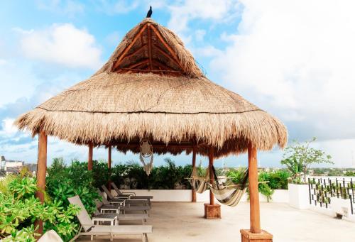 Hotel 52 Playa Del Carmen