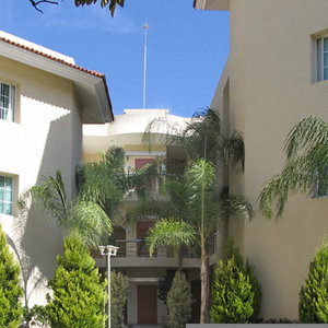 Hotel Aurea Hotel & Suites cazare Zapopan