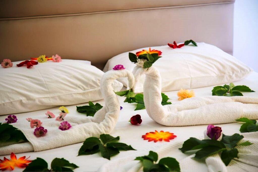 Hotel Sea Bird Hotel