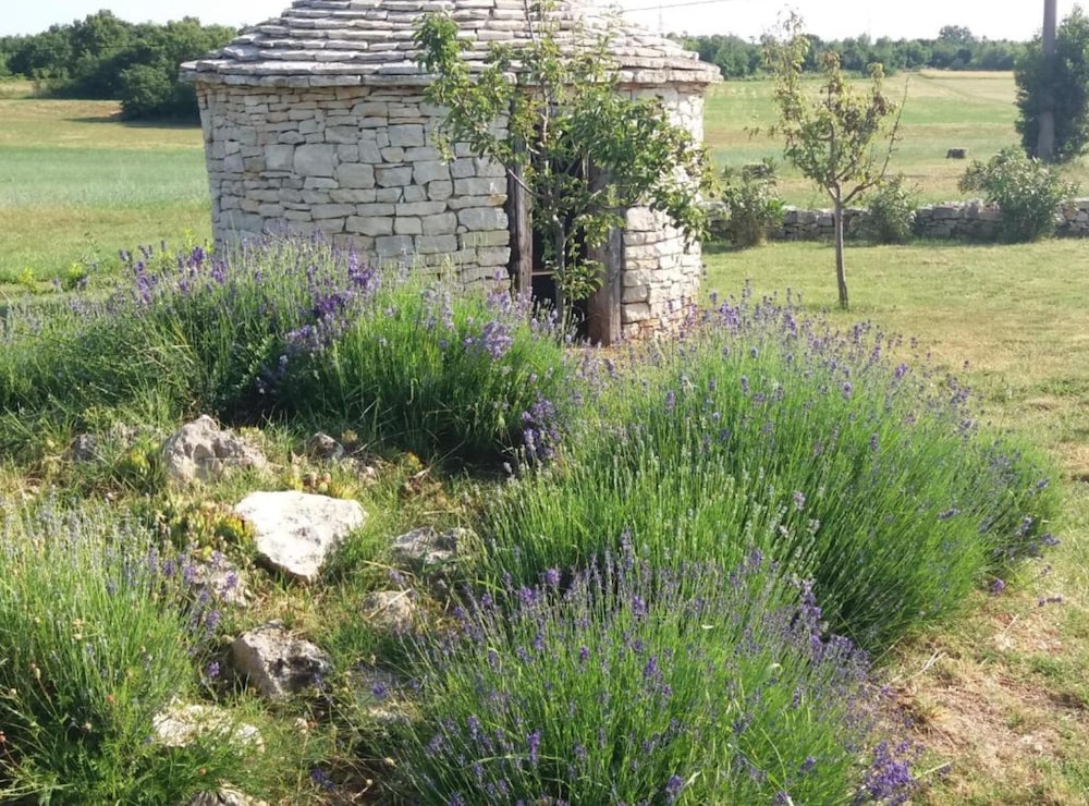 Hotel Authentic Istrian Rooms For Unforgettable Stays