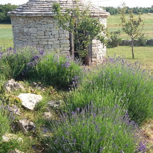 Hotel Authentic Istrian Rooms For Unforgettable Stays cazare Vodnjan