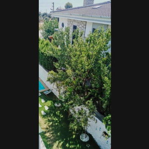 Hotel Talles Comfort Boutique Hotel cazare Cesme