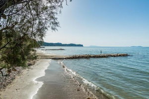 Hotel Ibiscus Corfu cazare Roda