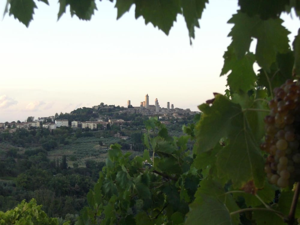 Agriturismo Il Casolare Di Bucciano